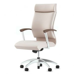 Alan Desk CS2 Executive Chair OFS