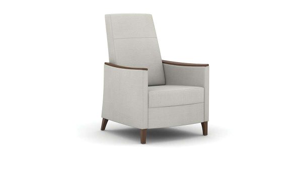 modern amenity lounge chair made in usa