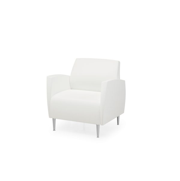 1 seat bariatric arms