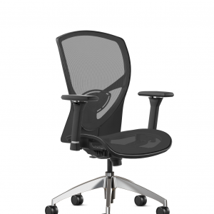 9 to 5 Seating @NCE 217 Task Chair In Stock Alan Desk los angeles