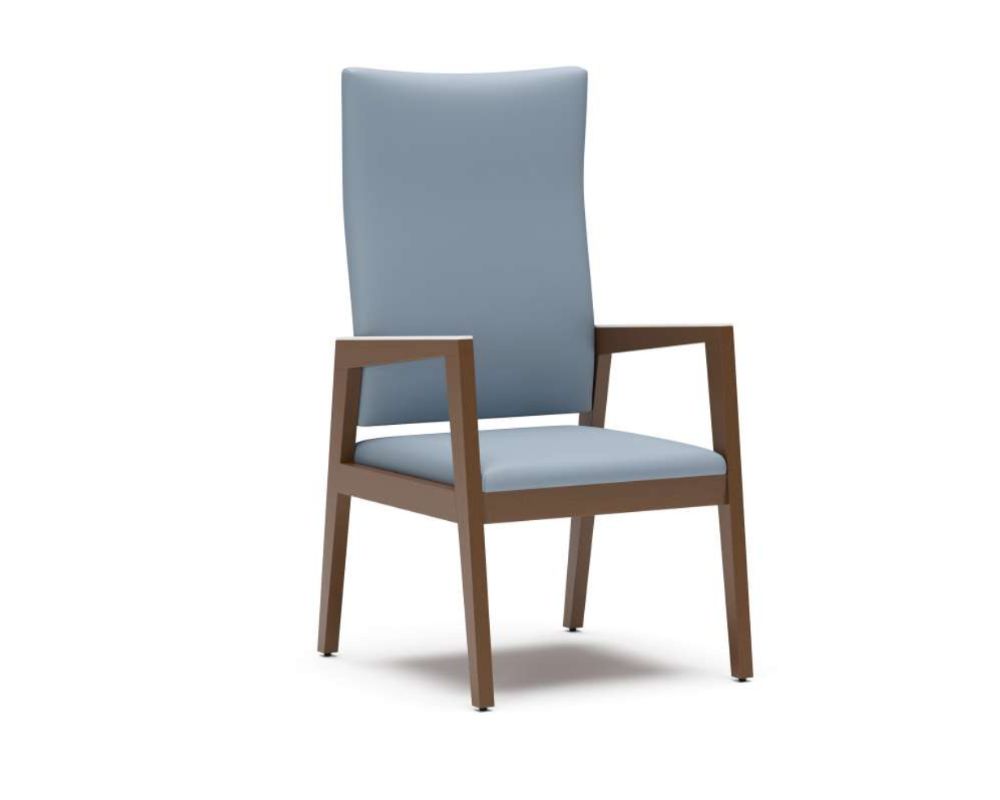 ofs rein+patient chair ad-blue front