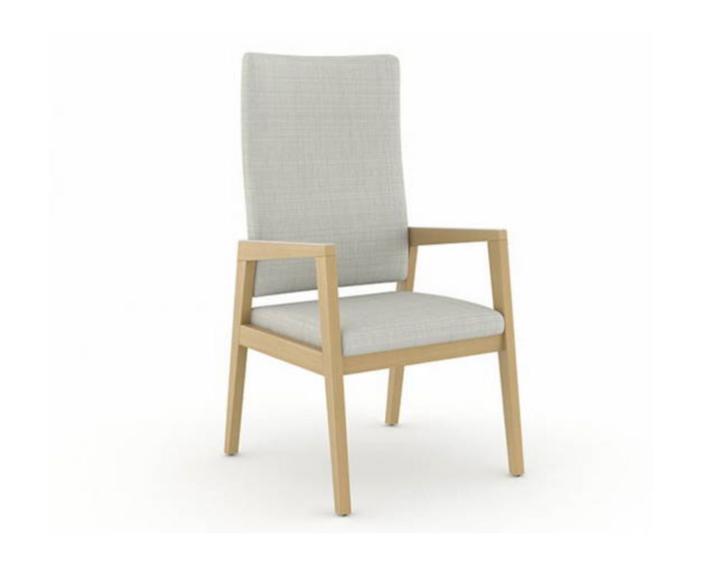 ofs rein+patient chair ad-grey front