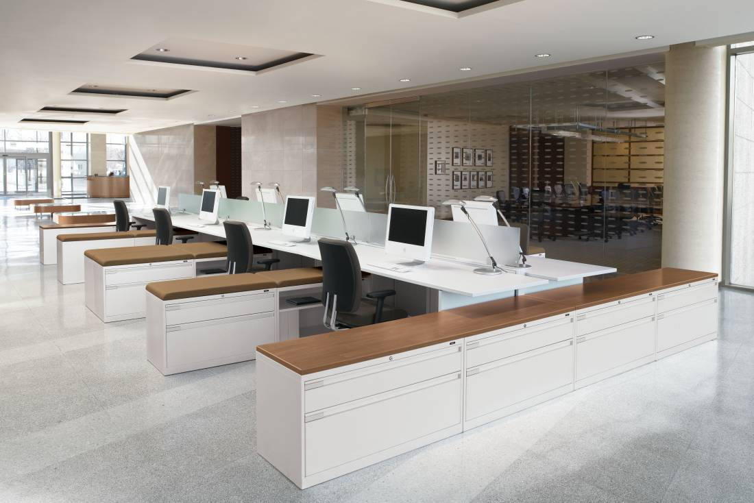 global evolve workstations