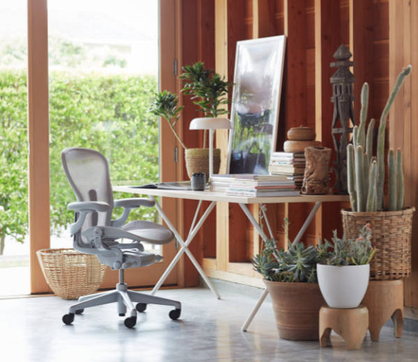 aeron-chair-and-desk