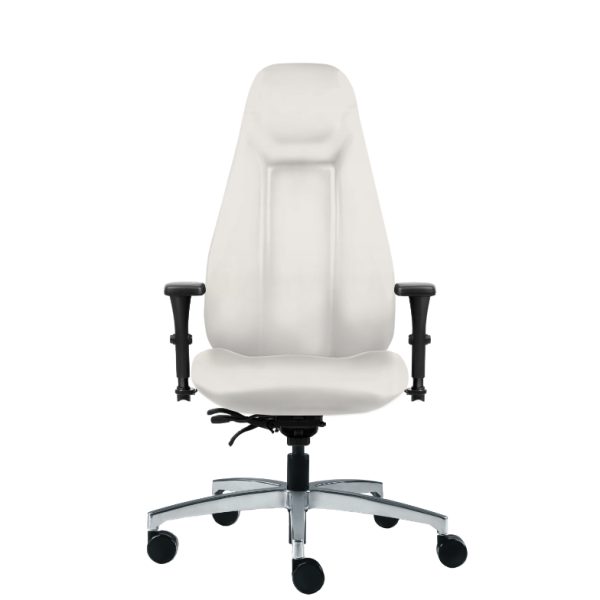 allseating therapod therapist extra highback office chair 1 <ul> <li><span style="color: #ff6600">=- available to try at our showroom -=</span></li> <li>part of our top 10 most ergonomic chairs</li> <li>available in multiple textiles, vinyl, & leather options</li> <li>multiple arm options</li> <li>back & chrome base options</li> </ul>