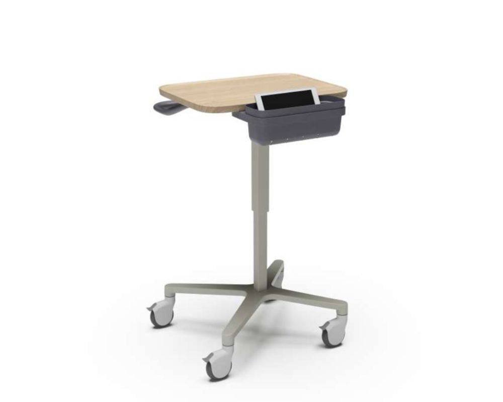 OFS-Stray Caregiver Support Station-gb-casters
