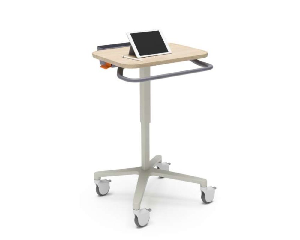 OFS-Stray Caregiver Support Station-tablet