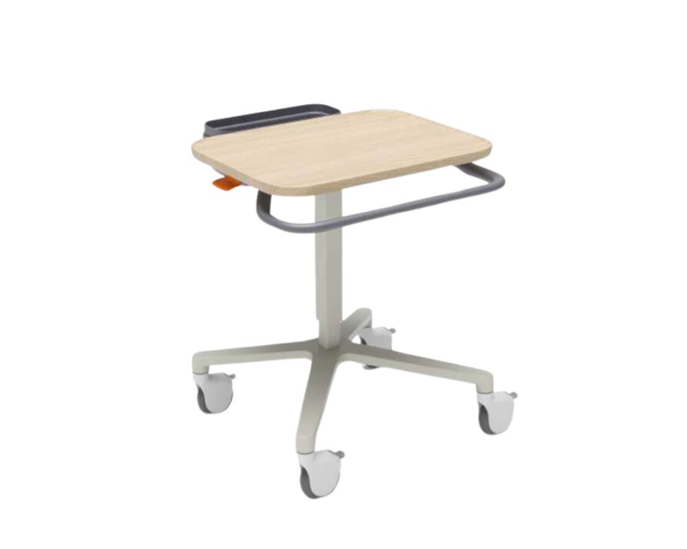OFS-Stray Caregiver Support Station-wf-casters
